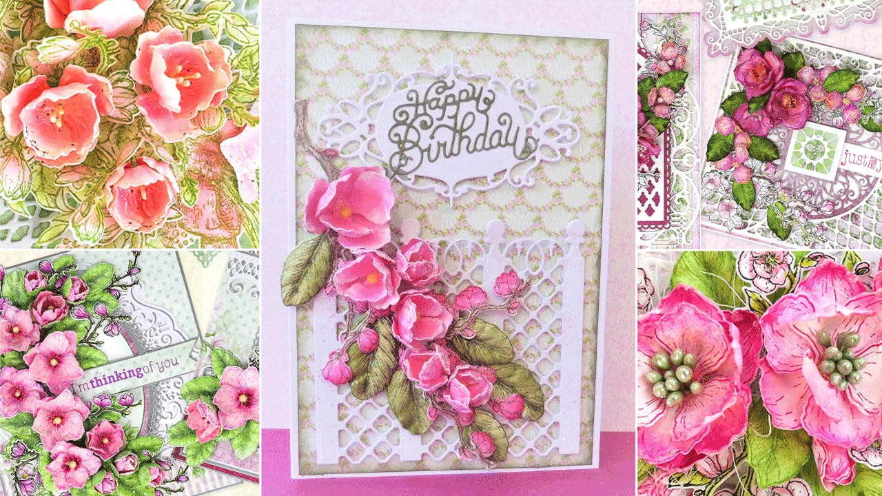 Heartfelt Creations Sales Shop -Heartfelt Creations Sales Shop 3423