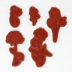 Coupon ⌛ Heartfelt Creations Daydream Florals Cling Stamp Set ❤️ -Heartfelt Creations Sales Shop unnamed file 124