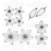 Best Pirce 💯 Heartfelt Creations Clematis Cling Stamp Set ✔️ -Heartfelt Creations Sales Shop unnamed file 538