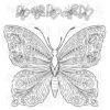 Coupon 🔔 Heartfelt Creations Large Floral Butterfly Cling Stamp Set ⭐