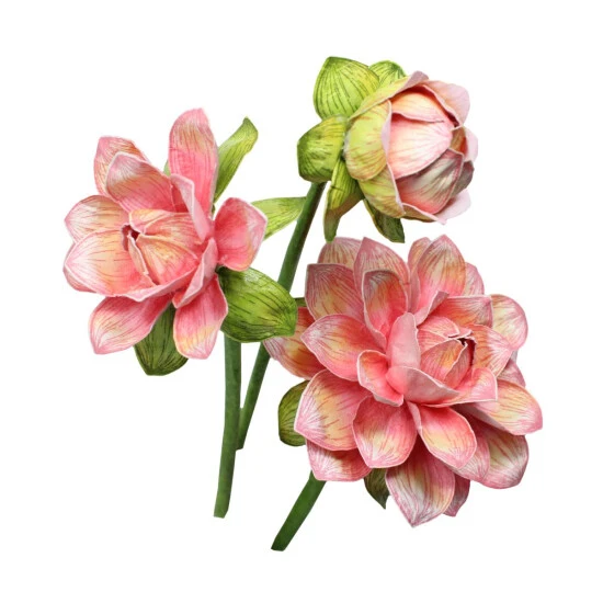 Best reviews of โญ Heartfelt Creations Small 3D Dahlia Shaping Mold ๐ฅ 4 Best reviews of โญ Heartfelt Creations Small 3D Dahlia Shaping Mold ๐ฅ - Image 2