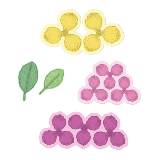 Best Sale ๐ Heartfelt Creations Sweet Magnolia Blooms Dies ๐ 3 Best Sale ๐ Heartfelt Creations Sweet Magnolia Blooms Dies ๐