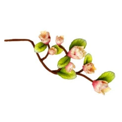 Best Sale ๐ Heartfelt Creations Sweet Magnolia Blooms Dies ๐ 7 Best Sale ๐ Heartfelt Creations Sweet Magnolia Blooms Dies ๐ -Heartfelt Creations Sales Shop unnamed file 778