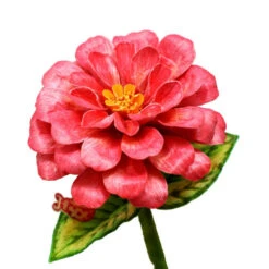 Heartfelt Creations Sales Shop -Heartfelt Creations Sales Shop unnamed file 784