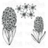 Buy βοΈ Heartfelt Creations Hyacinth Cling Stamp Set π 1 Buy βοΈ Heartfelt Creations Hyacinth Cling Stamp Set π -Heartfelt Creations Sales Shop unnamed file 85
