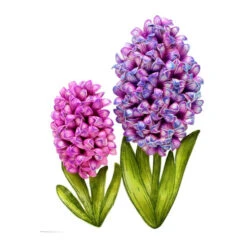 Buy ✔️ Heartfelt Creations Hyacinth Cling Stamp Set 😍 -Heartfelt Creations Sales Shop unnamed file 87